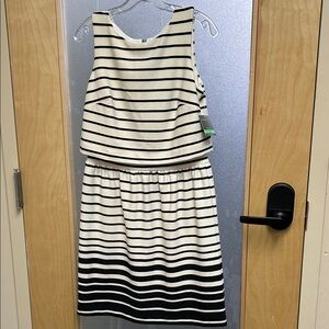 Taylor Black and White Striped Dress (Zip up)